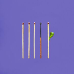 burn-out bilan de compétences